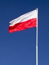 Polska zajmuje wysokie piąte miejsce pod względem powierzchni handlowej w budowie pośród państw europejskich